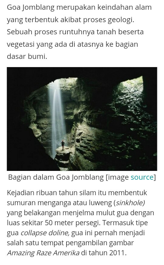 The Ray of Light dan Hutan Purba, Incaran Turis Asing yang Ada di Indonesia
