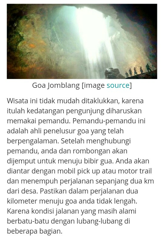 The Ray of Light dan Hutan Purba, Incaran Turis Asing yang Ada di Indonesia