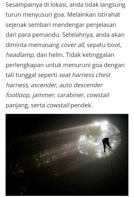 The Ray of Light dan Hutan Purba, Incaran Turis Asing yang Ada di Indonesia