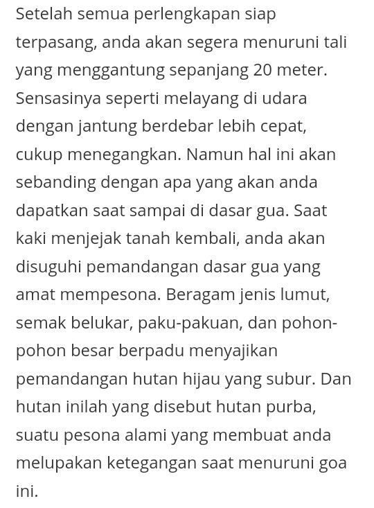 The Ray of Light dan Hutan Purba, Incaran Turis Asing yang Ada di Indonesia