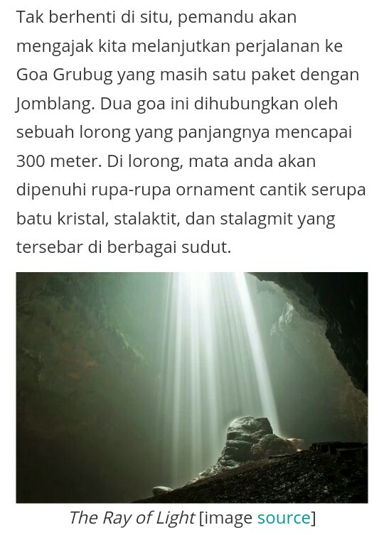 The Ray of Light dan Hutan Purba, Incaran Turis Asing yang Ada di Indonesia