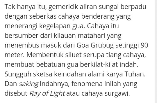 The Ray of Light dan Hutan Purba, Incaran Turis Asing yang Ada di Indonesia