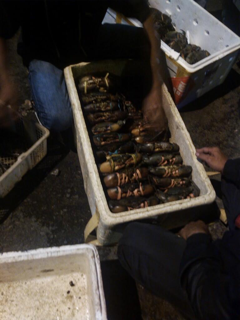 Berbisnis Seafood Khusus Kepiting