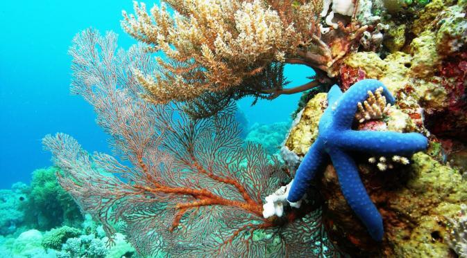 Kepulauan Takabonerate, Hadirkan Nuansa &quot;Taman Surga&quot;