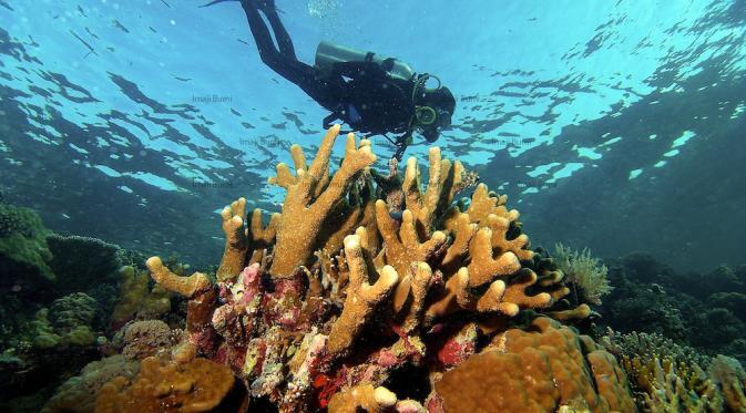 Kepulauan Takabonerate, Hadirkan Nuansa &quot;Taman Surga&quot;