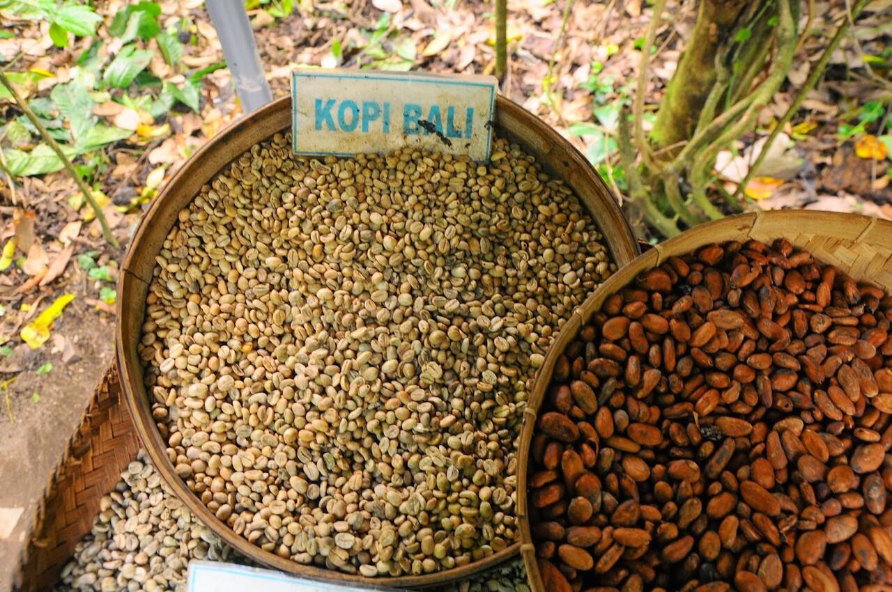 MENGENAL KOPI NUSANTARA, KOPINYA INDONESIA