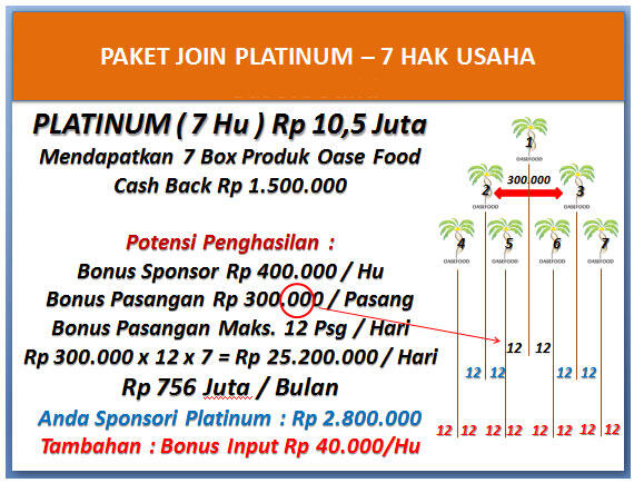 OASEFOOD Bisnis Baru = Kesempatan baru ( Launching Januari 2016 ) 