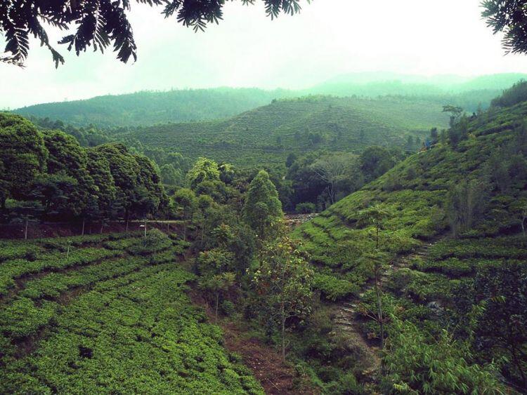 PESONA NGAWI YANG GAK BAKAL DILUPAKAN...I LOVE U, NGAWI !