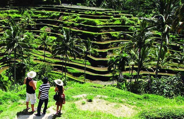 Eksotisnya Kampung Jawa di Desa Wisata Candirejo