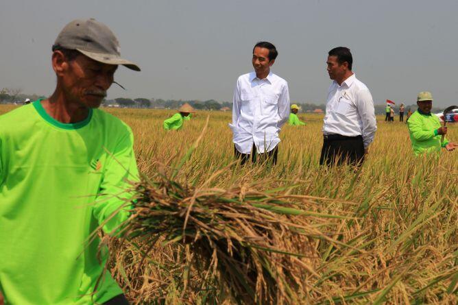 Mentan: 84,4 % Masyarakat Puas dengan Pemerintahan JOKOWI