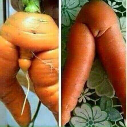 Oknum Pendeta di Surabaya Ditangkap Polisi Atas Kasus Pencabulan 7 Anak