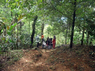 Kecantikan Di Atas Gunung Sendaren