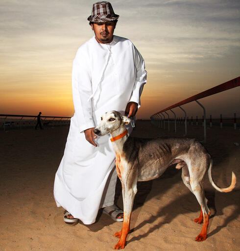 Mengintip balap anjing Saluki dikalangan pemuda Arab