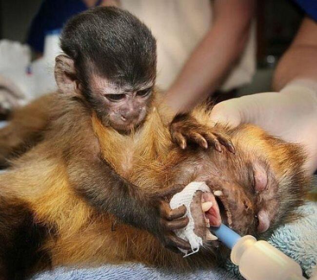 15 POTRET SUKA &amp; DUKA KEHIDUPAN MANUSIA