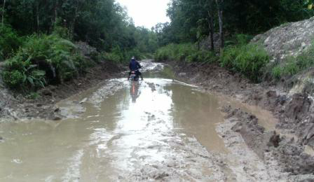 Kenali Gan Model-Model Jalan yang Muncul di Musim Hujan dan Cara Mengatasinya