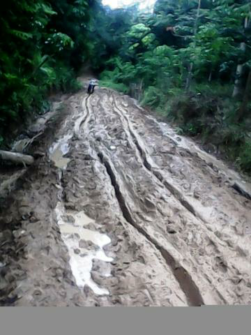 Kenali Gan Model-Model Jalan yang Muncul di Musim Hujan dan Cara Mengatasinya