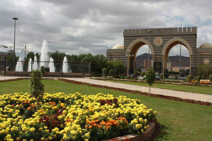 15 Universitas Terbaik di Saudi Arabia