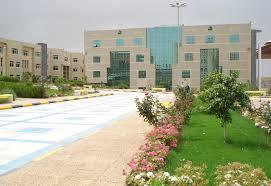 15 Universitas Terbaik di Saudi Arabia