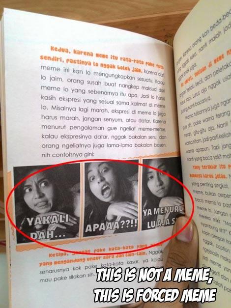 Pemakaian 5 Meme &amp; Rage Face ini Biasanya Salah!