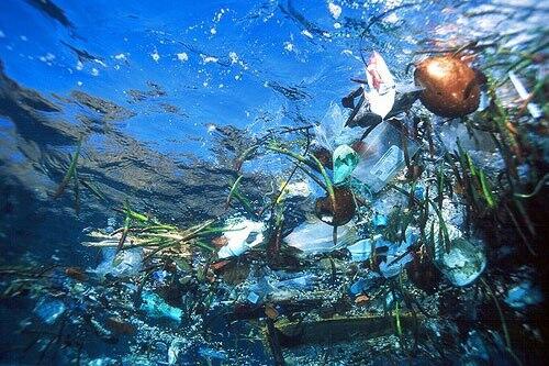 12 Fakta tak terduga ini bukti mengerikannya kantong plastik
