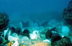 12 Fakta tak terduga ini bukti mengerikannya kantong plastik