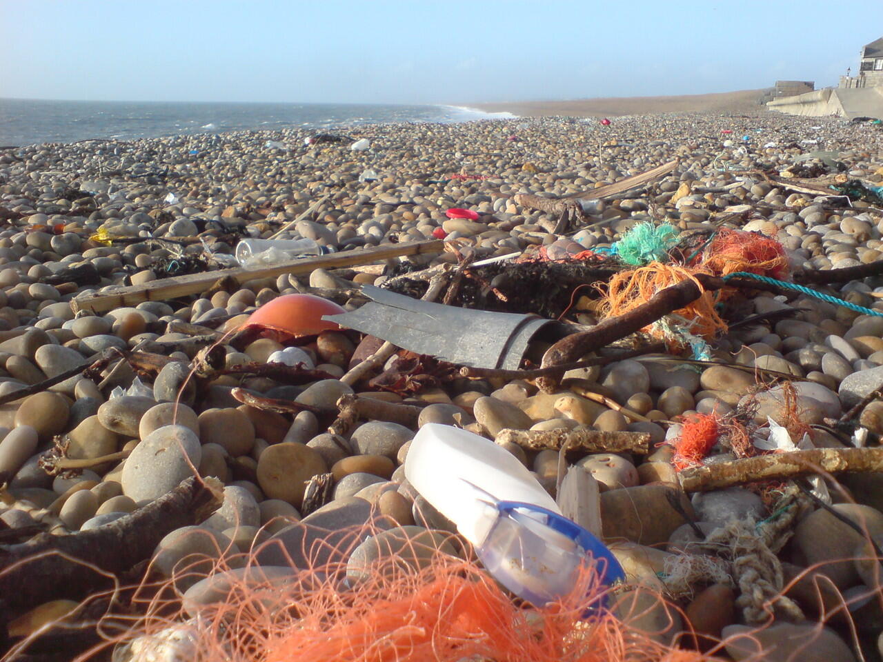 12 Fakta tak terduga ini bukti mengerikannya kantong plastik