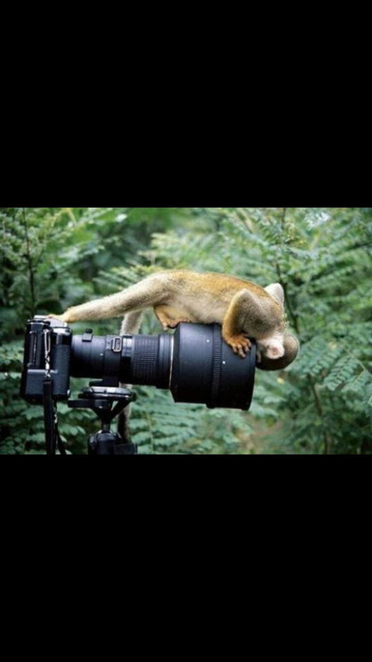 salah satu fotografer bangsa gan