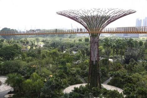 Bukan cuma Kalijodo, Senayan Golf Driving Range dilibas Ahok untuk Hutan Kota