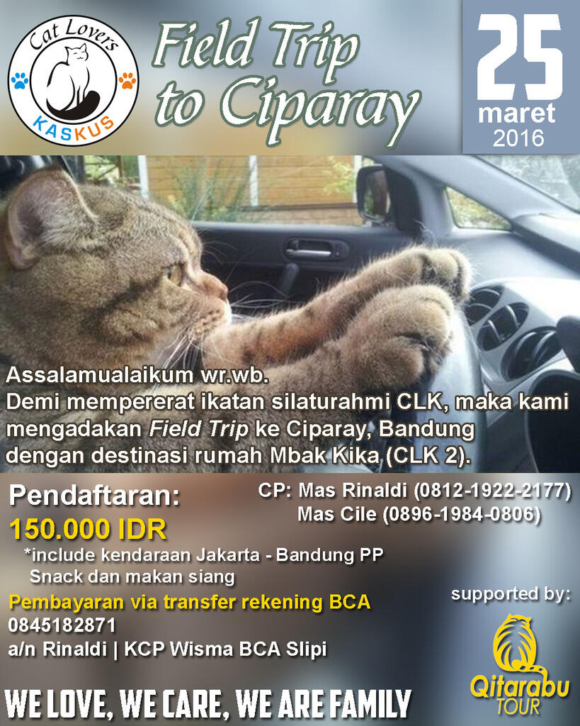 Kucing Selfie Di Dekat Kawanan Anjing