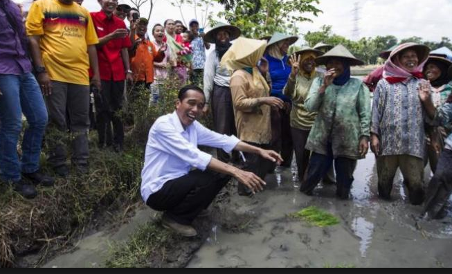 Hibur diri, Jokowi beri makan ikan di sungai Kebun Raya Bogor