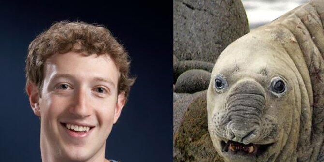 Empat hewan ini dianggap mirip sosok terkenal dunia