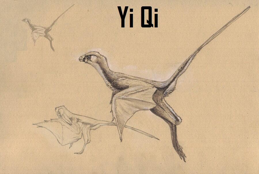 Yi Qi