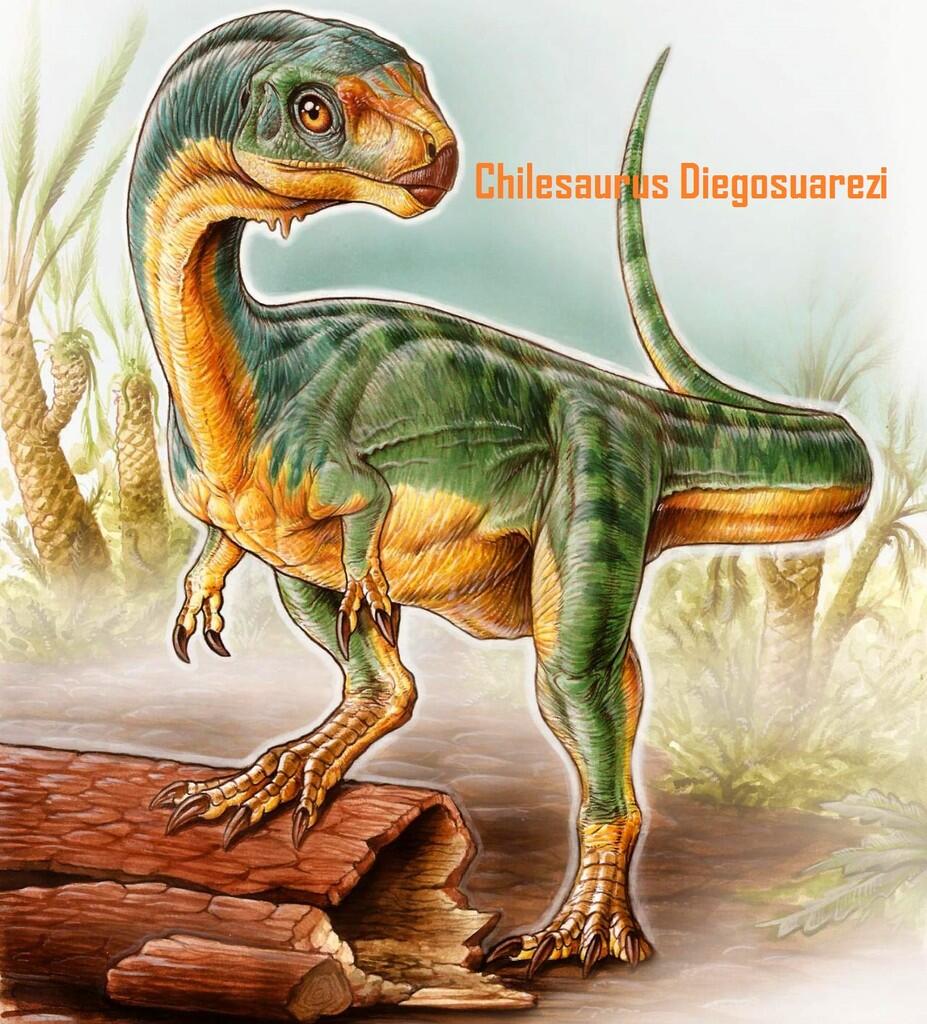 Chilesaurus Diegosuarezi