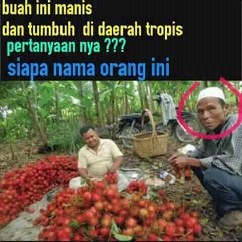 GAN gua punya soal gampang tapi gua susah jawab