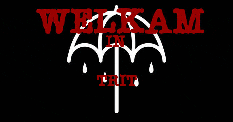 The Best Cover band Versi ane