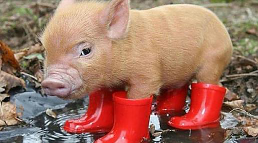 15 Fakta Unik Ekonomi dan Kehidupan Tiongkok