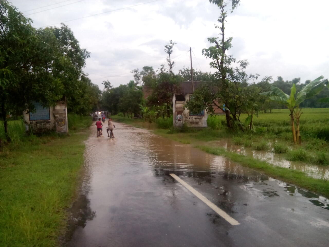 Sungai meluap dan angin kencang merusak tanaman padi