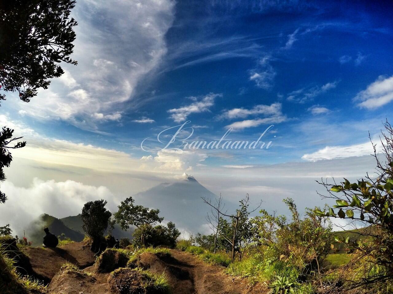 FIELD TRIP STORY GUNUNG MERBABU VIA SELO 20-21 Februari 2016