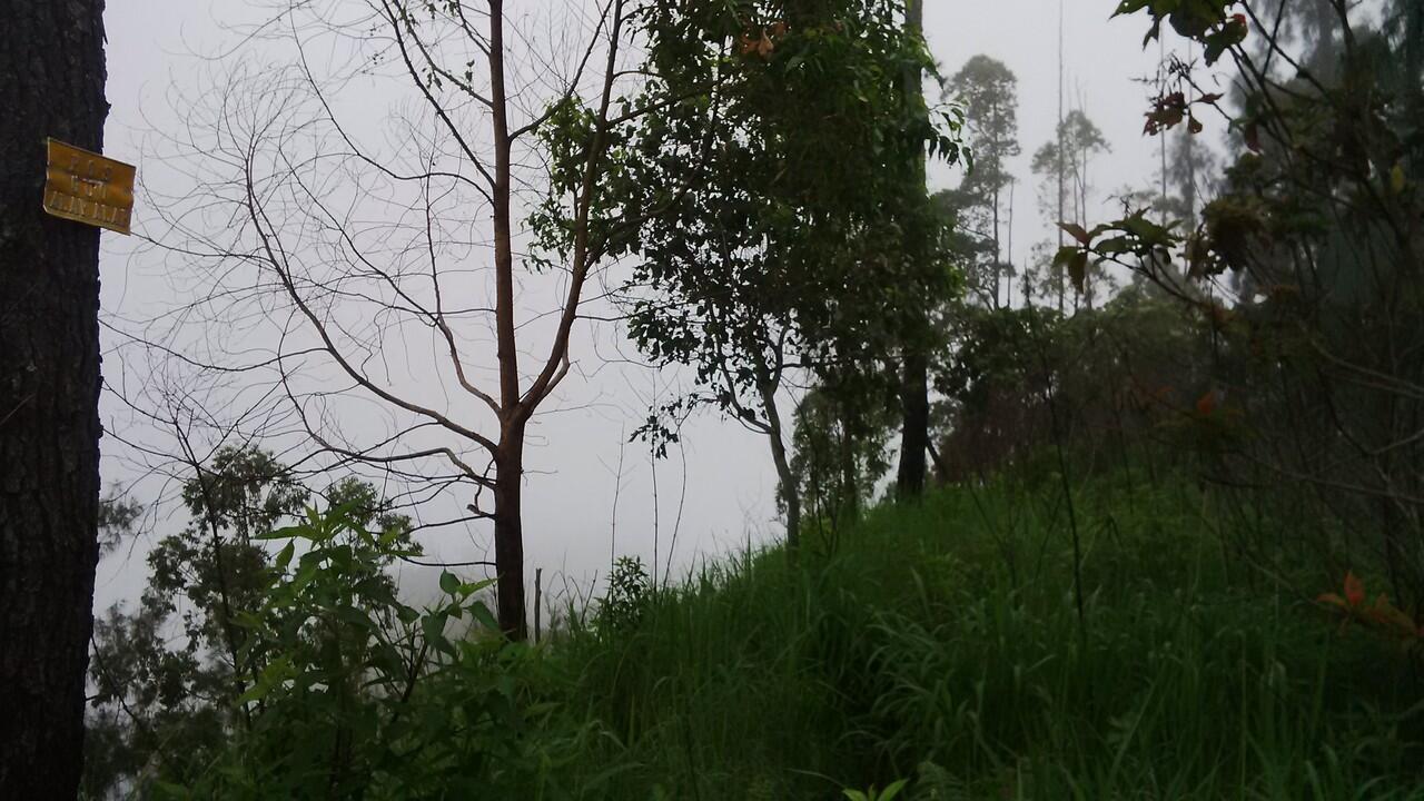 Limas, salah satu puncak Wilis dan mampir dipetilasan Jendral Soedirman