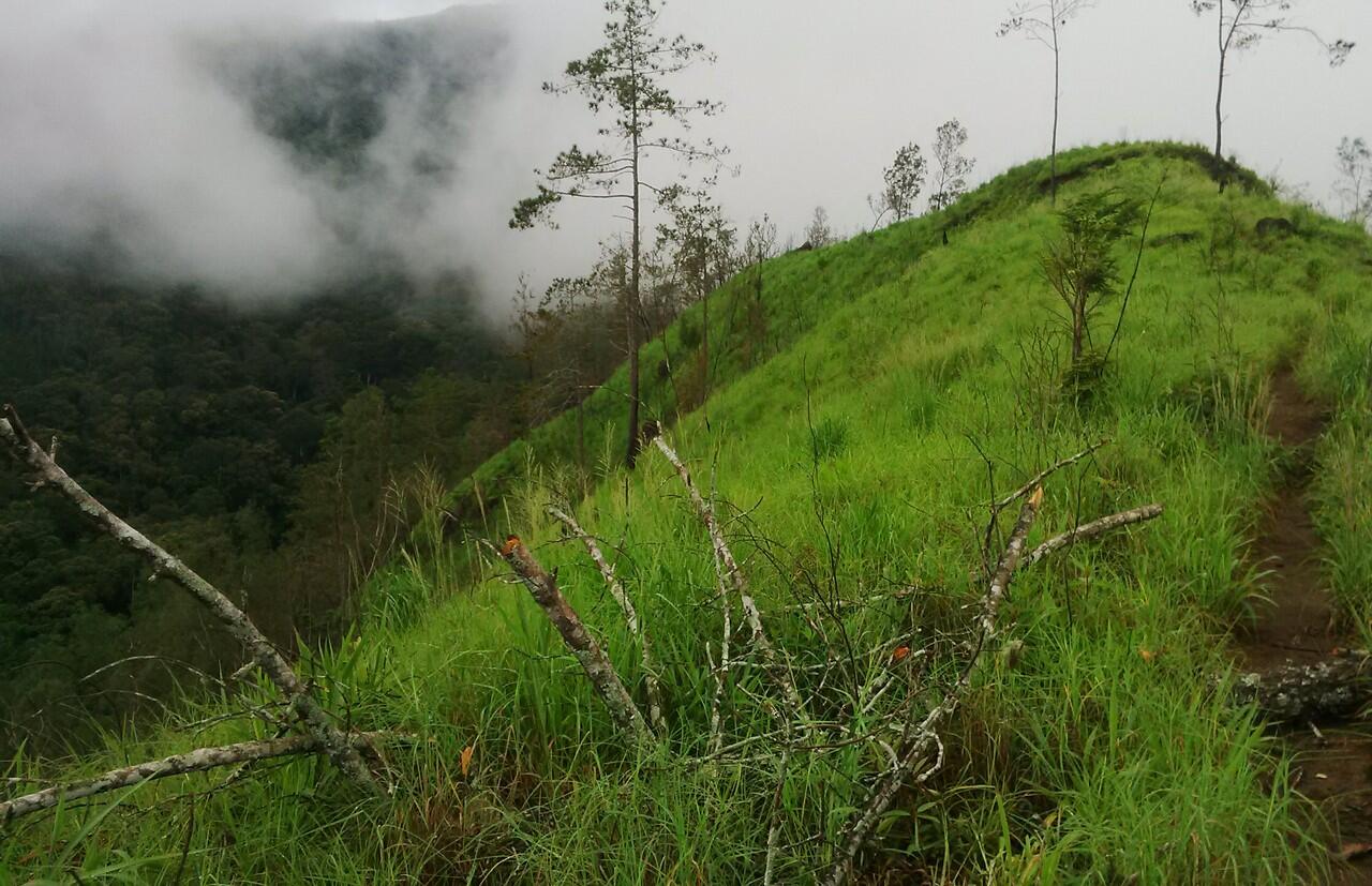 Limas, salah satu puncak Wilis dan mampir dipetilasan Jendral Soedirman