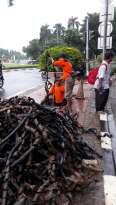 Siapa yang Buang Bungkus Kabel Sembarangan di Gorong-gorong Jakarta?