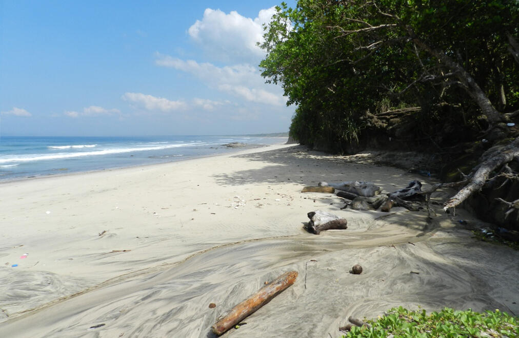 Panduan Lengkap Travelling ke Banyuwangi