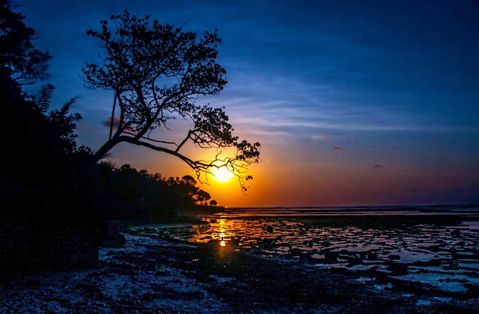 Panduan Lengkap Travelling ke Banyuwangi