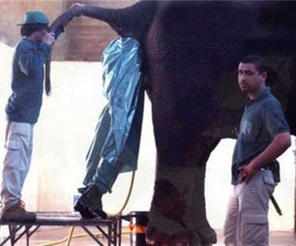 15 Pekerjaan Ekstrim, Bersyukurlah Dengan Pekerjaanmu Saat Ini