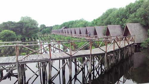 Wisata Alam Hutan Mangrove PIK Jakarta