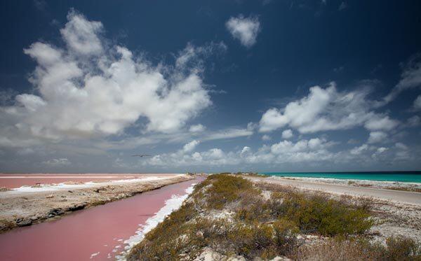 10 PANTAI BERPASIR PINK, INDONESIA ADA DUA, yooo..maannn...!