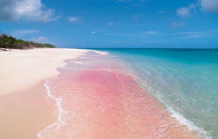 10 PANTAI BERPASIR PINK, INDONESIA ADA DUA, yooo..maannn...!