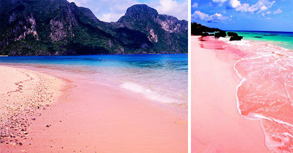 10 PANTAI BERPASIR PINK, INDONESIA ADA DUA, yooo..maannn...!