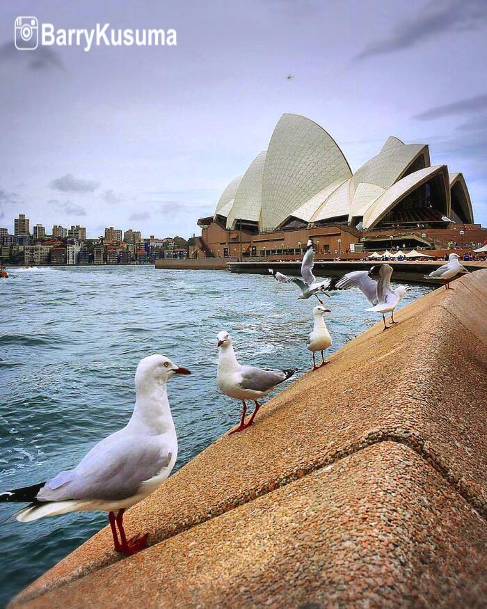 Logo Tempat Wisata Yang Ada Di Dunia Baca Dulu Fakta Unik dan Menarik dari Sydney Australia 