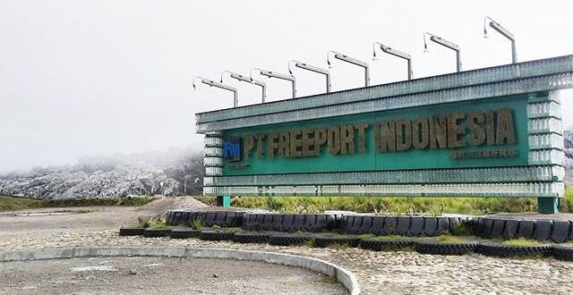 Freeport Dianggap Terlalu Besar untuk Dipimpin Orang Asli Papua